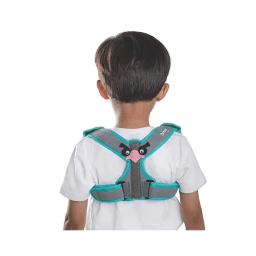 مشدات ودعامات الظهر والبطن